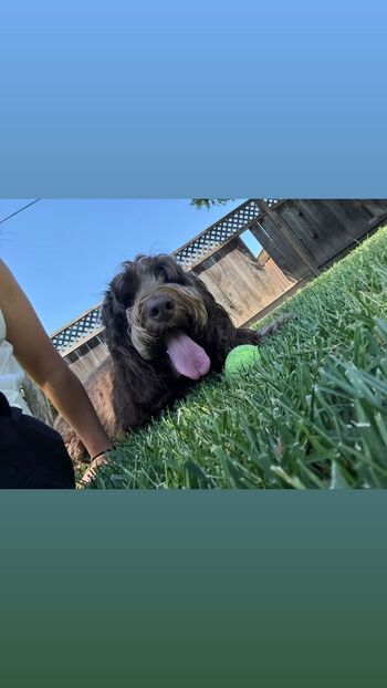 Bayley page leaked private photo uncensored HD quality