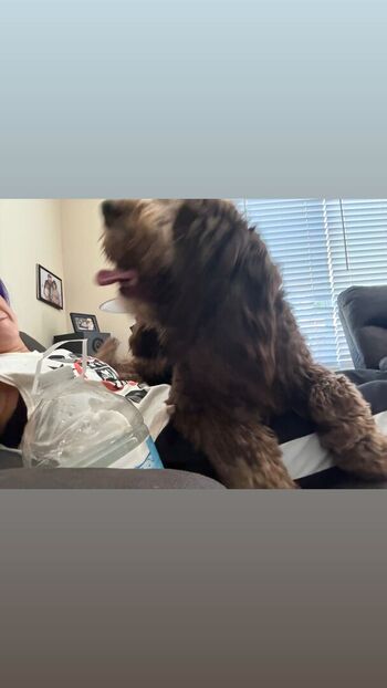 Bayley page leaked private photo uncensored HD quality