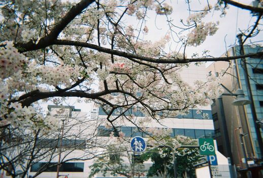 Dosya gasai  page leaked private photo uncensored HD quality