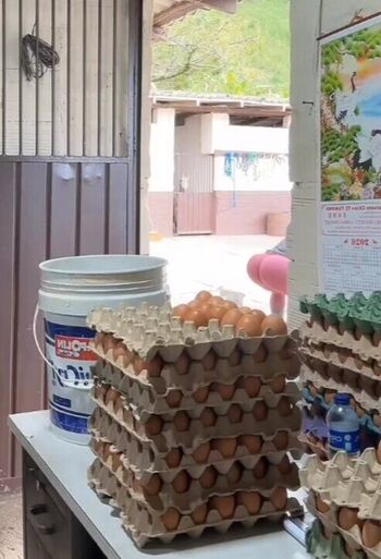 Elizabeth lopez leaked private photo uncensored HD quality