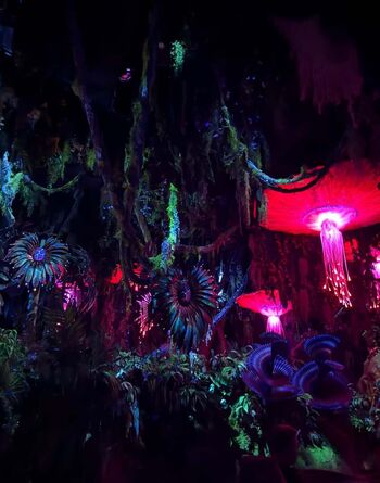 Hirai momo page leaked private photo uncensored HD quality