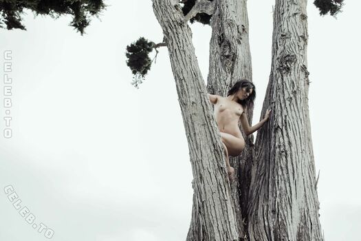 Kendall jenner  page leaked private photo uncensored HD quality