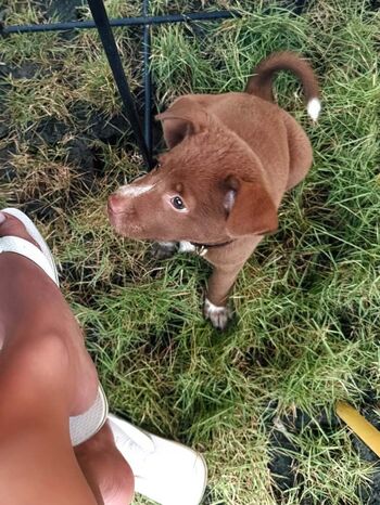 Lisahannalee leaked private photo uncensored HD quality