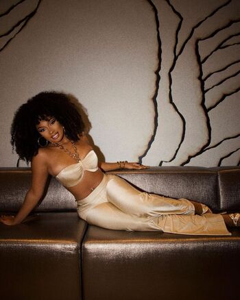 Megan thee stallion  page leaked private photo uncensored HD quality