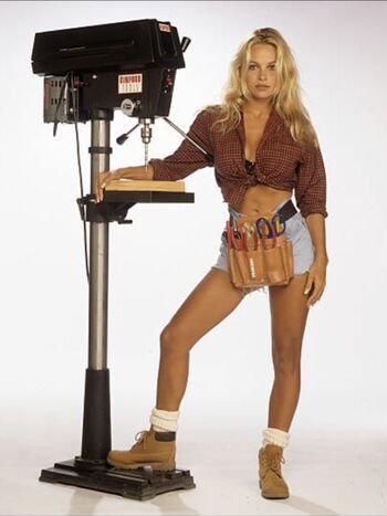 Pamela anderson leaked private photo uncensored HD quality