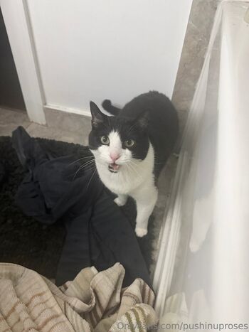 Pushinguproses leaked private photo uncensored HD quality