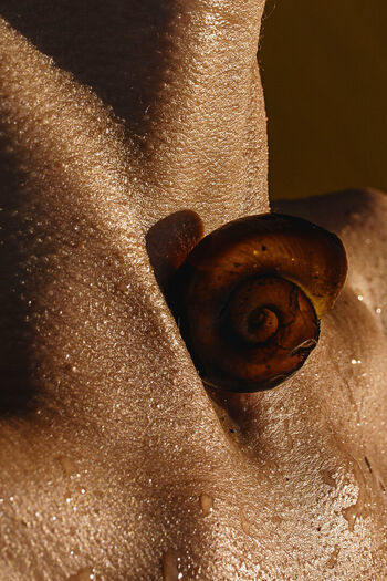 Solomia maievska page leaked private photo uncensored HD quality