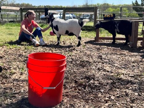 Tricia helfer page leaked private photo uncensored HD quality